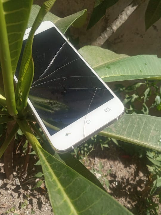 Electrodomésticos de línea blanca